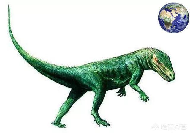 科摩多龙图片:为什么蛇颈龙、鱼龙、沧龙和翼龙不是恐龙？