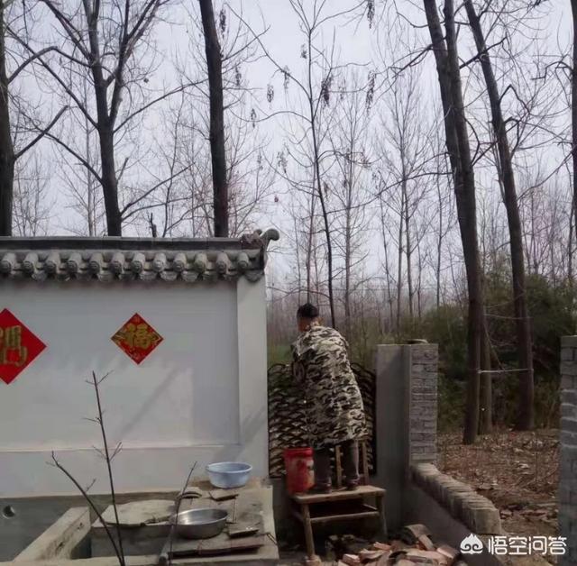 怎么做院子围墙又便宜又好看？插图111