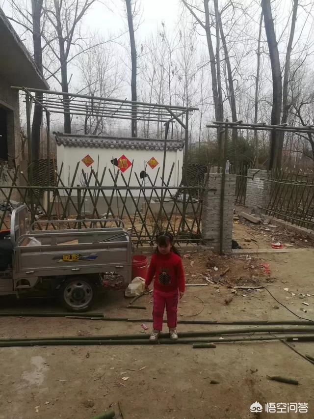 怎么做院子围墙又便宜又好看？插图117