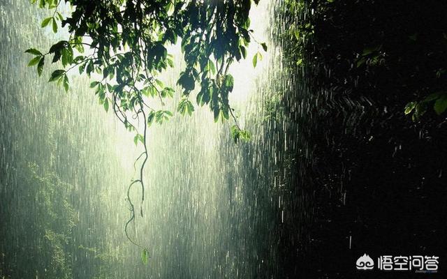 你有多久没有痛快地淋一场盛夏的大雨了？