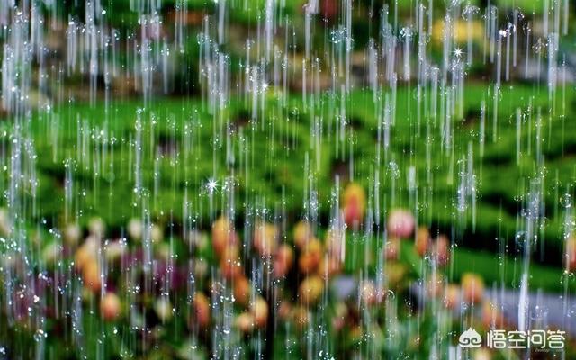 被大雨淋了好久身体没事吧-被大雨淋对身体的伤害