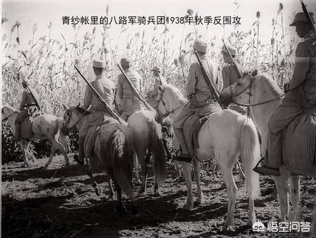 抗战时期，中国曾装备德国的装备，效果怎么样？插图19