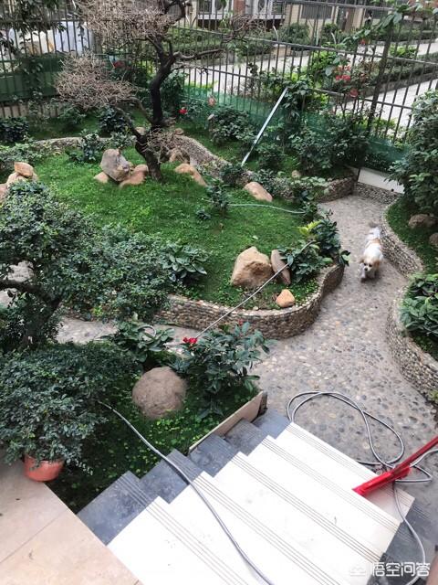 怎么做院子围墙又便宜又好看？插图101