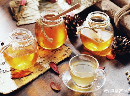 大白熊幼犬喂什么食物:大白熊犬便秘是环境原因吗？