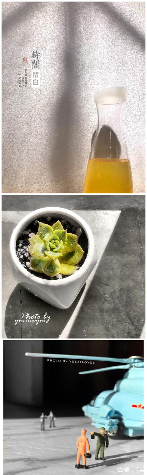 爱拍宠物摄影:爱好摄影的你，感觉自己是什么水平？晒出三张照片来分享一下吧？