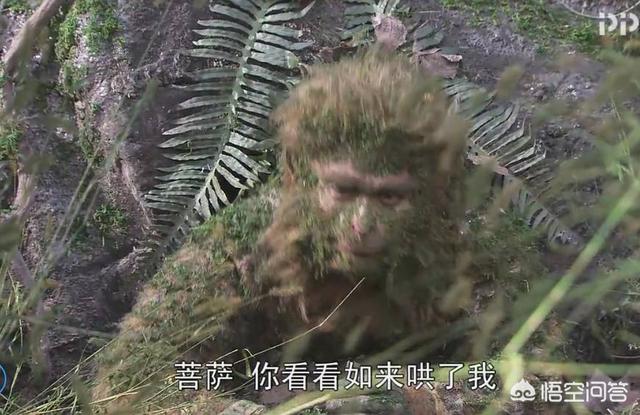 刘伯钦:《西游记》原著里，刘伯钦为什么到了两界山，就再不能送唐僧了？