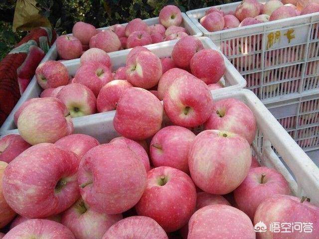 自家很多农产水果苹果,桃子类,如何在不经过外来客商的情况下销售出去,有什么渠道？