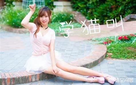 我们一起学猫叫:如果《学猫叫》是周杰伦创作的歌曲，还会被很多人批判吗？