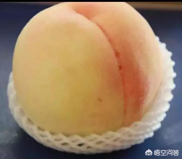 2019有什么好的创业项目？