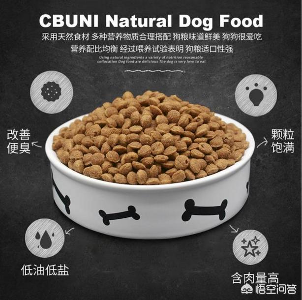 法国斗牛犬母很难养吗:饲养法牛需要避开哪些误区？