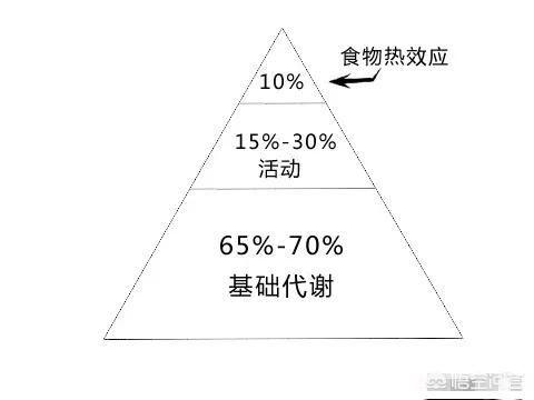 一磅等于多少斤1004无标题:中国网络上对外国有哪些偏见和误解？