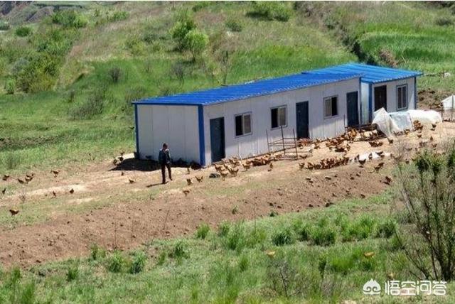 正直爱洁蟹浙江有吗:螃蟹“烂市”？年年火爆最近为何滞销？