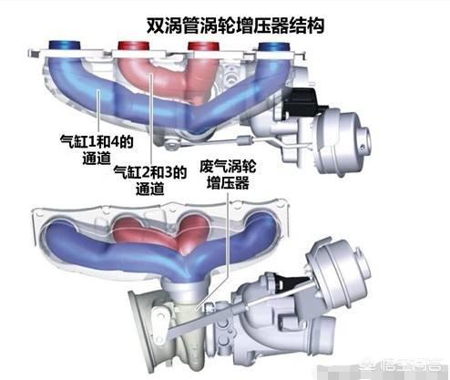 英短猫价格:从哪些细节能看出奥迪A4L和宝马3系之间的差距？
