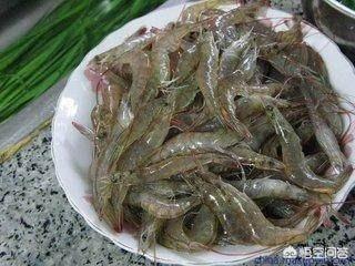 野地图鱼图片:野地图鱼图片大全集 一般河里面，或者湖里面，在河底的都是什么鱼？