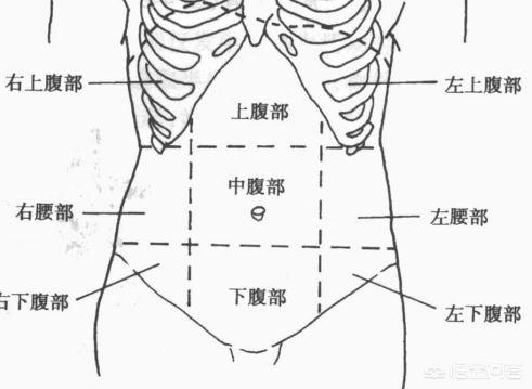 头条问答 腹部疼痛的原因有哪些 57个回答