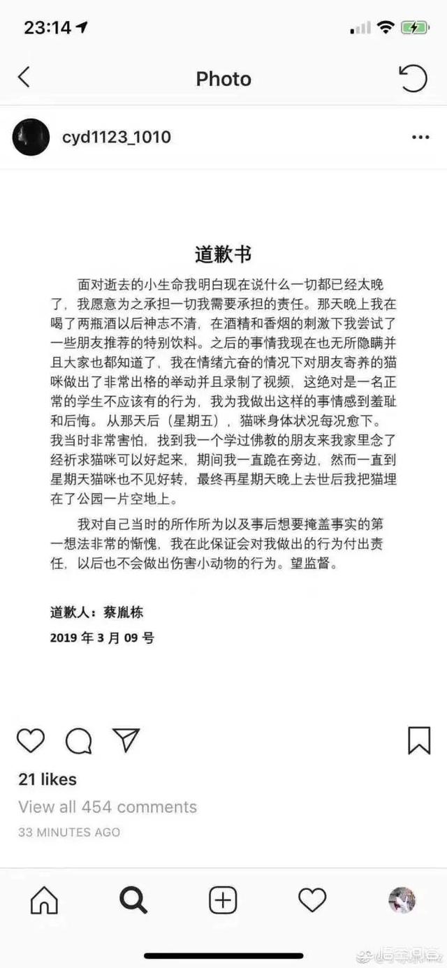 何兴丽摔狗案件:中国留学生虐猫被控告，你怎么看？