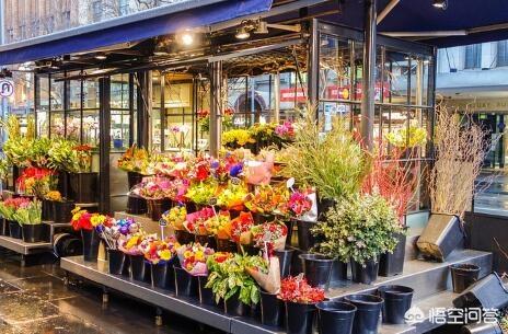 花泥画(花泥画的创业前景)