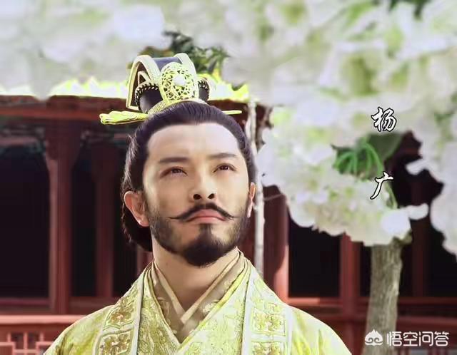隋朝杨广:隋炀帝杨广真的是杀父夺权的吗有什么依据吗