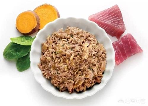 缅因猫如何喂养:缅因猫多大开始爆毛，缅因猫7个月不爆毛正常吗？
