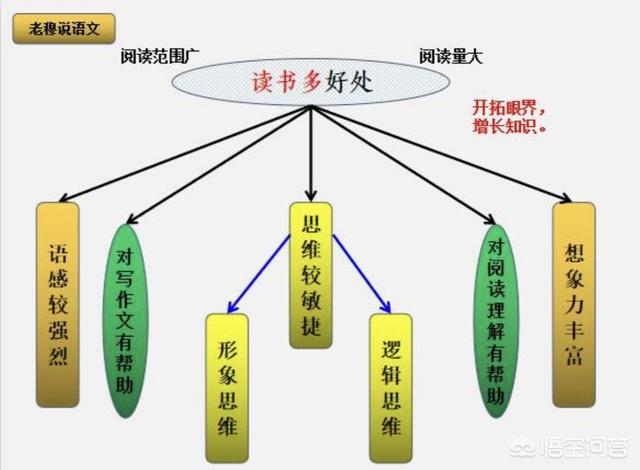 张衣:在课堂之外如何提高语文成绩？