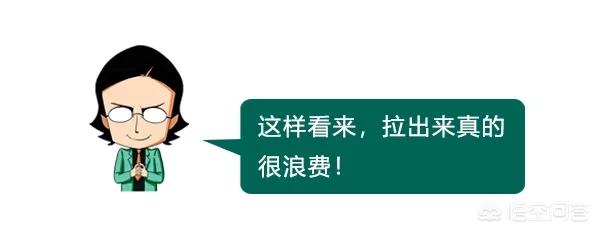 吃大便小游戏:柴犬吃自己的粪便怎么办？