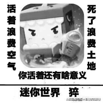 迷你世界怎么弄相筐上的图片？