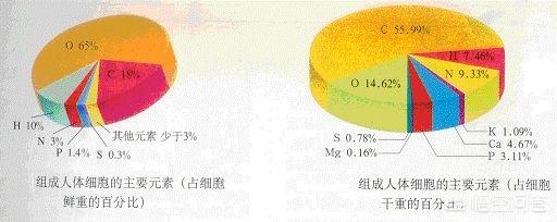 人类的起源和归宿是什么？