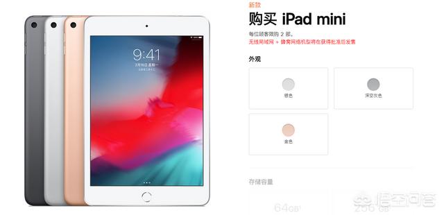 头条问答 Ipad Mini新款买64g的还是256g内存的好 表示必须要蜂窝版 333个回答