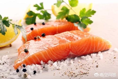 约克夏狗吃什么好:约克夏狗狗好养吗？适合家庭里饲养吗？