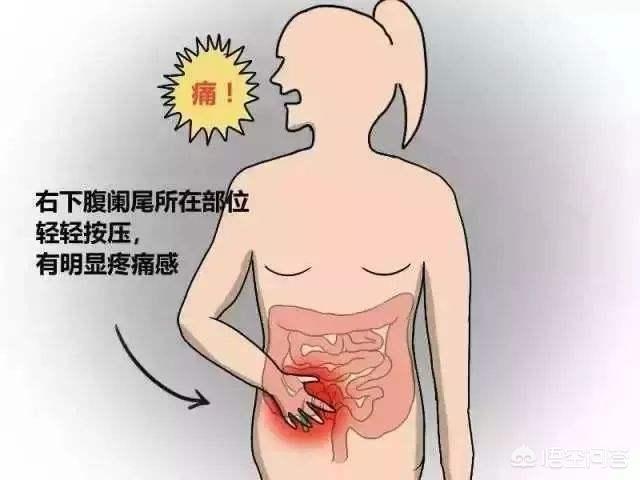 头条问答 右下腹部疼痛什么原因 日日野的回答 0赞