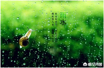 有哪些关于春雨的古诗词？