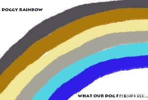 狗狗是色盲吗，在狗的眼睛里，世界是什么颜色