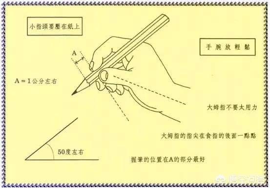 如何教育孩子养成良好的学习习惯:孩子怎样才能学习好？怎样系统的学？