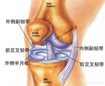 剧烈运动后韧带拉伤怎么办:韧带拉伤能剧烈运动吗 什么运动可以帮助膝盖韧带损伤恢复？