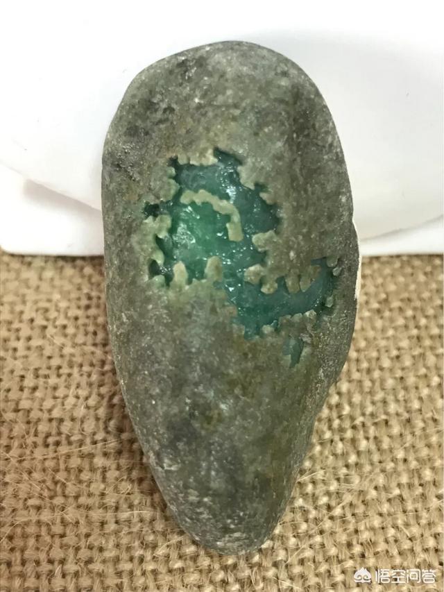 沙皮:沙皮狗的性格是什么样的？