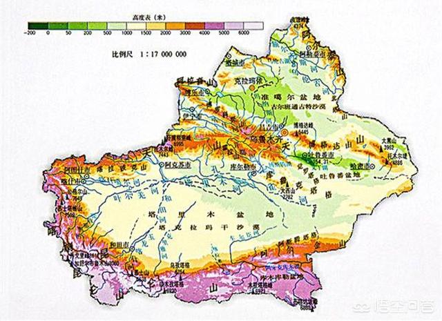 新疆的候鸟有哪些:为什么新疆的山上有大片的草地？