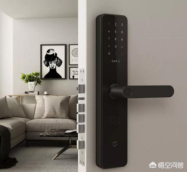 安全智能锁:智能锁与传统锁哪个防盗性好