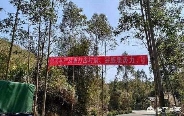 你对农村宗族恶势力有何看法？该如何处理？