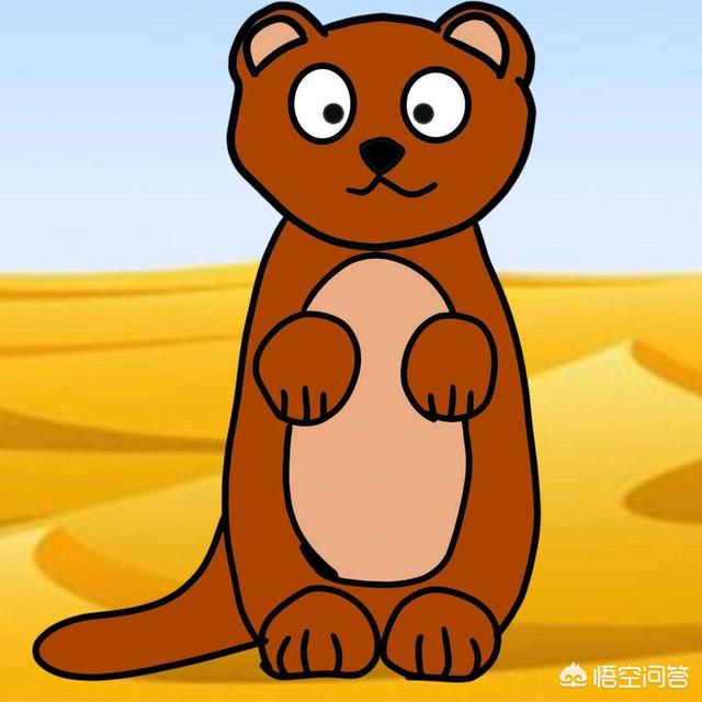 黄鼠狼灵异事件簿:为何农村的黄鼠狼都不能杀？