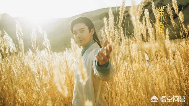 电视剧东宫剧情介绍:如何评价匪我思存的《东宫》