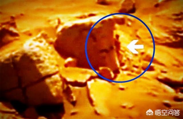 卫星有没有拍到龙，火星上是否真的发现了霸王龙头骨