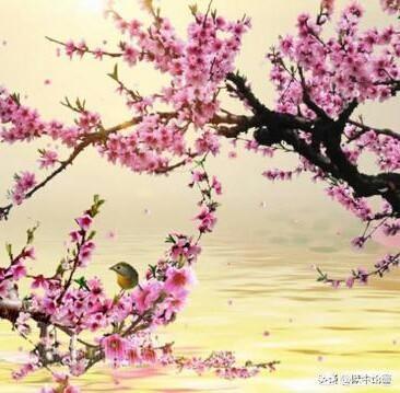 有什么好的句子或者诗句,适合对热恋中的她道晚安时表述？