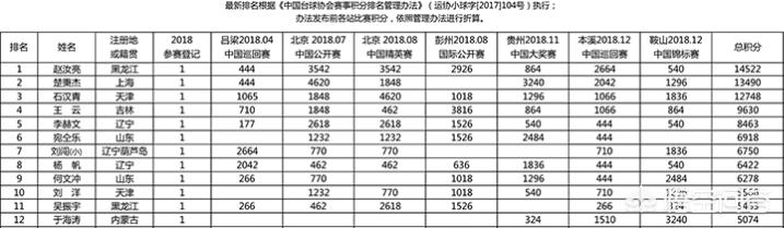 代勇和郑宇伯赌钱:中式八球前十名让你来评，都是谁？