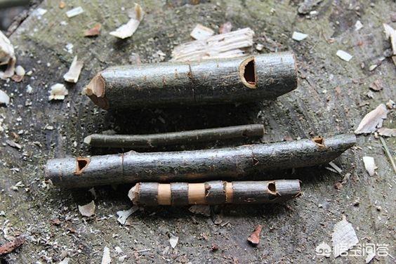 自学木雕入门教程,喜欢木雕，但是没有基础，应该从哪开始？