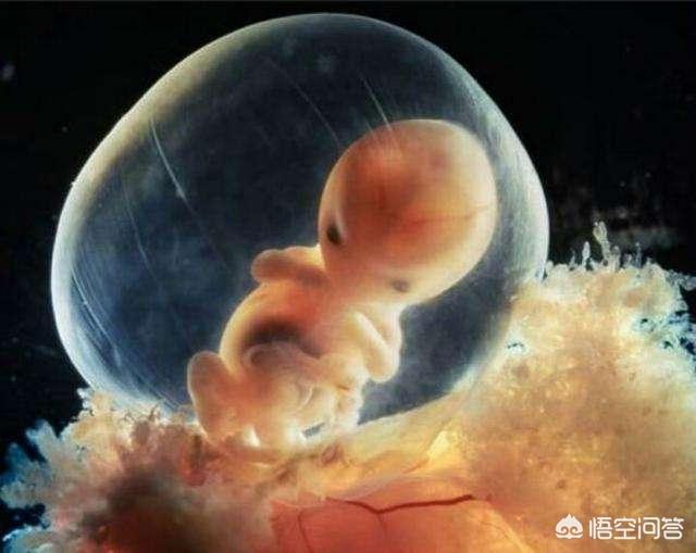 怀孕几个月能看出来畸形:胎儿几个月可以检查出畸形 怀孕多久后容易出现胎儿畸形？孕妈该如何预防？