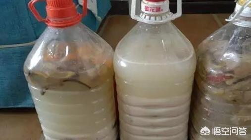 如何制作花肥(如何自制花肥的方法)