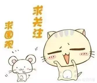 欧美摔跤抓鸟露鸟视频:WWE历史上有没有发生过，选手在擂台上打着打着真打起来了？