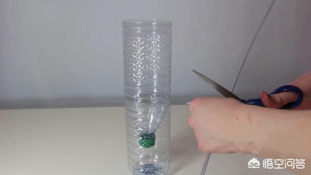 丰年虾孵化 浓度:买显微镜送的虾怎么培育好？