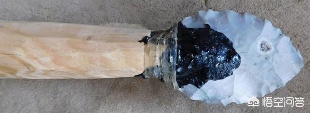 揭示尼安德特人是如何制造出第一种胶水的？