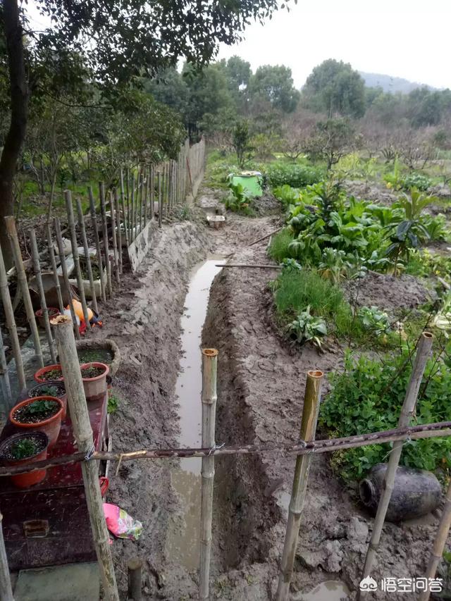 怎么做院子围墙又便宜又好看？插图83